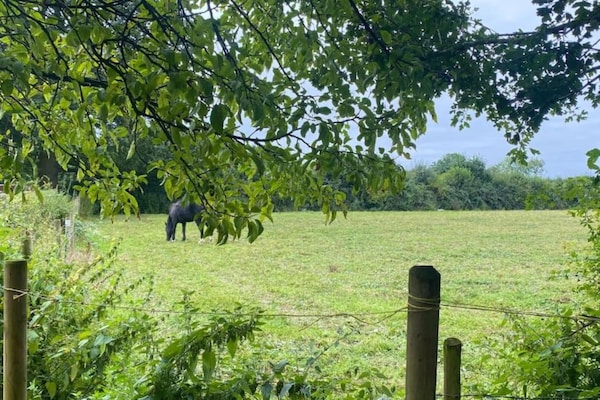 Foto van Safaritent bij Hertford Meer met Bubbelbad - Vakantiehuis in Hertford - AreaSummer20KM