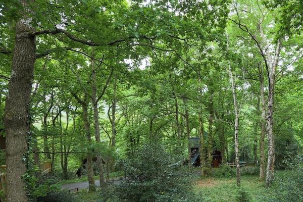 Foto van Cottage in Dartmoor met Uitzicht - Vakantiehuis in Bovey Tracey - AreaSummer20KM