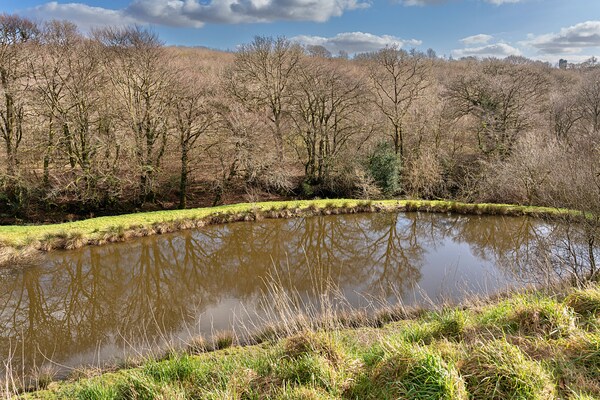 Foto van Herderhut in Devon bij Meer - Vakantiehuis in Beaworthy - AreaSummer1KM