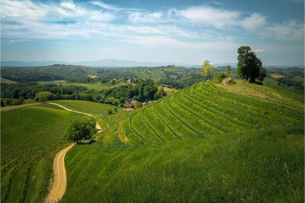Foto van Appartement in Dramalj bij Strand & Zwembad - Vakantiehuis in Dramalj - AreaSummer20KM