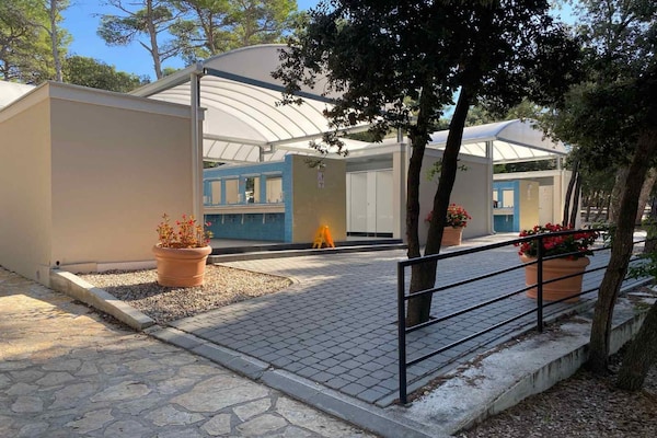 Foto van Oliva Mobile Home - Vakantiehuis in Biograd na Moru - Ambiance
