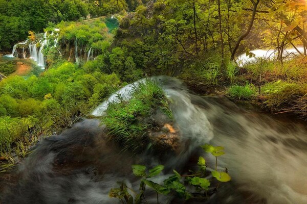 Foto van Appartement met twee slaapkamers in Dalmatië - Vakantiehuis in Jezera - AreaSummer5KM