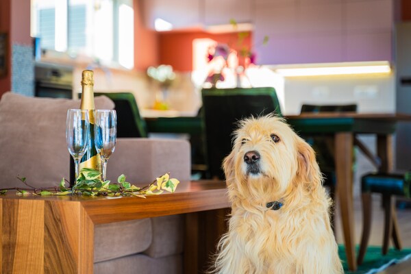 Foto van Villa in Filipana met verwarmd zwembad - Vakantiehuis in Filipana - LivingRoom