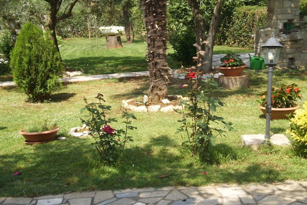 Foto van Licul Moderne retraite - Vakantiehuis in Nova Vas (POREC) - GardenSummer
