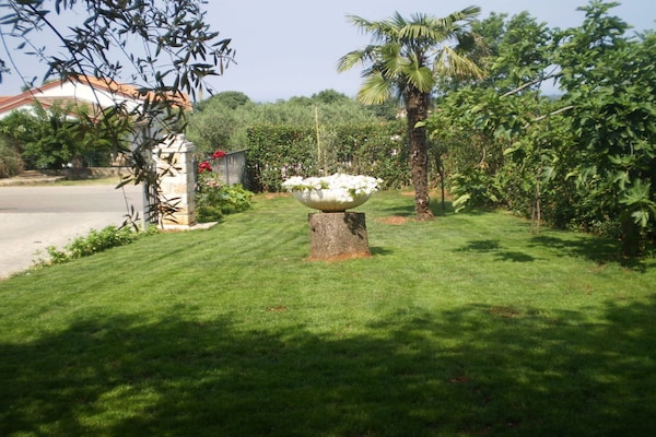 Foto van Licul Moderne retraite - Vakantiehuis in Nova Vas (POREC) - GardenSummer