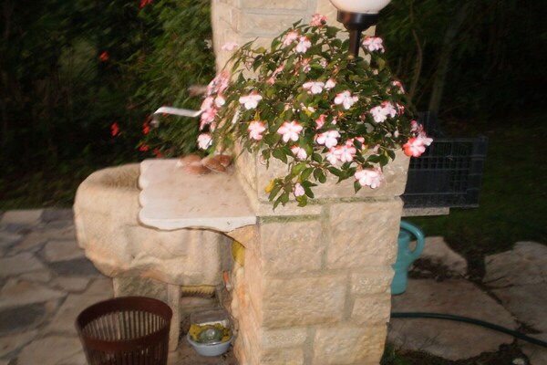 Foto van Licul Moderne retraite - Vakantiehuis in Nova Vas (POREC) - GardenSummer