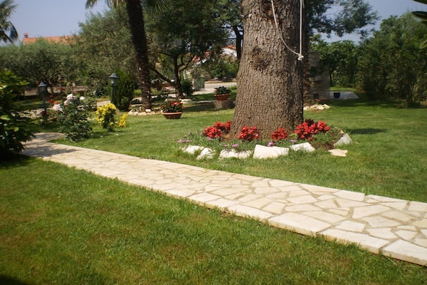 Foto van Licul Moderne retraite - Vakantiehuis in Nova Vas (POREC) - GardenSummer