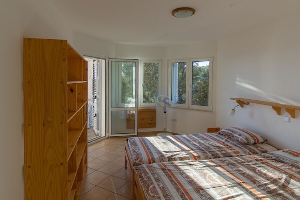 Foto van 1 Villa aan zee - Vakantiehuis in Novalja - Untagged