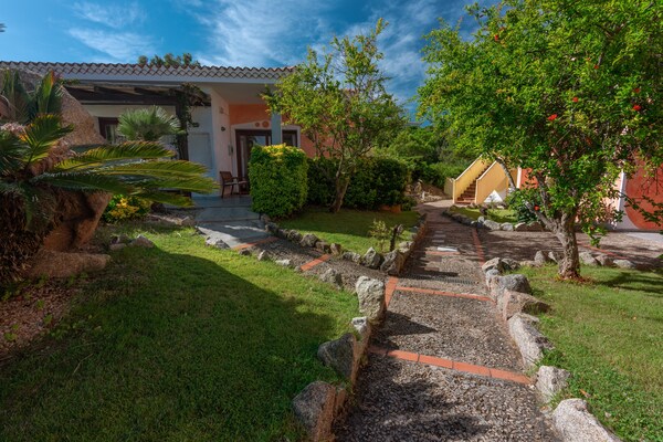 Foto van Residence met gemeenschappelijk zwembad in Palau - Vakantiehuis in Palau (SS) - ExteriorSummer