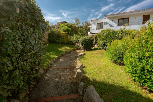 Foto van Residence met gemeenschappelijk zwembad in Palau - Vakantiehuis in Palau (SS) - ExteriorSummer