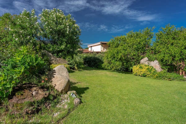 Foto van Residence met gemeenschappelijk zwembad in Palau - Vakantiehuis in Palau (SS) - ExteriorSummer