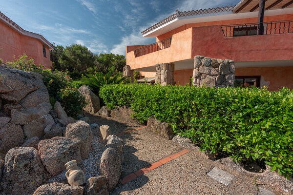 Foto van Residence met gemeenschappelijk zwembad in Palau - Vakantiehuis in Palau (SS) - ExteriorSummer