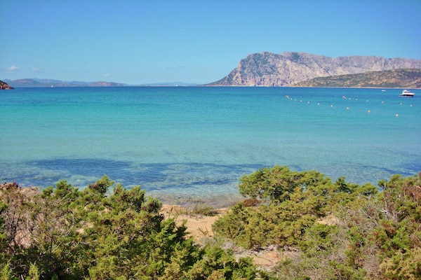 Foto van Residentie Bouganvillage Tanaunella in Budoni - Vakantiehuis in Tanaunella - Budoni (SS) - AreaSummer5KM