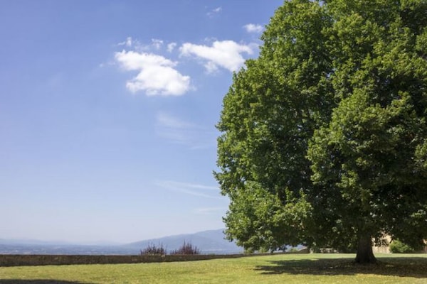 Foto van Vakantiehuis in Pergine Valdarno met Zwembad - Vakantiehuis in Pergine Valdarno - ViewSummer
