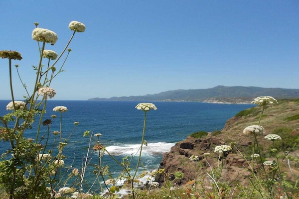 Foto van in Villa S. Maria del Mare - Vakantiehuis in Marina di Magomadas - Untagged