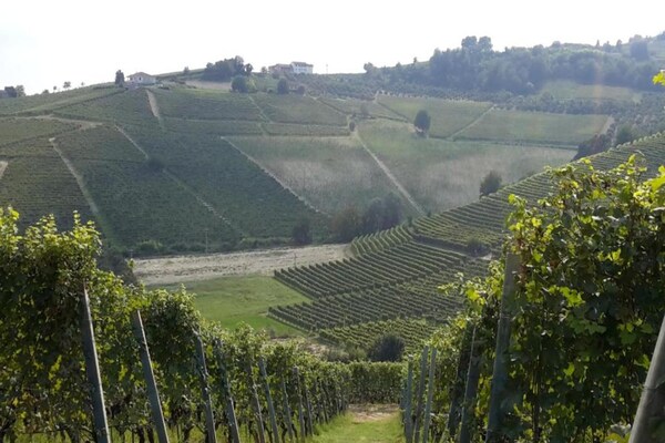 Foto van Landhuis in Langhe met Zwembad en Wijnhuis - Vakantiehuis in Bastia Mondovì - AreaSummer20KM