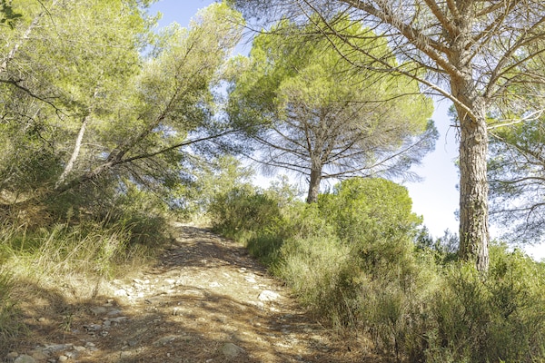 Foto van Appartementen met veranda, Andora - Vakantiehuis in ANDORA (SAVONA) - AreaSummer5KM