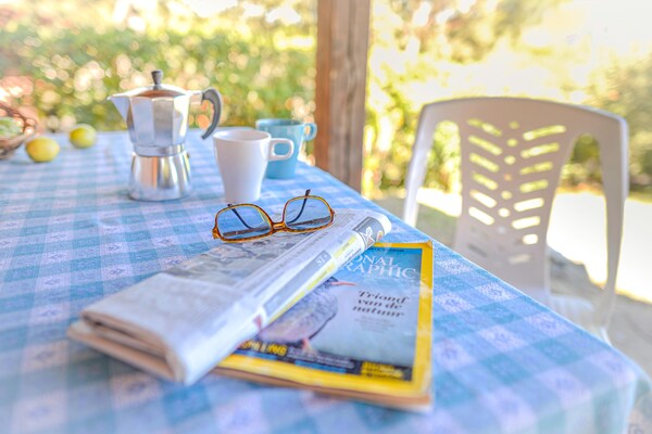 Foto van Appartementen met veranda, Andora - Vakantiehuis in ANDORA (SAVONA) - LivingRoom