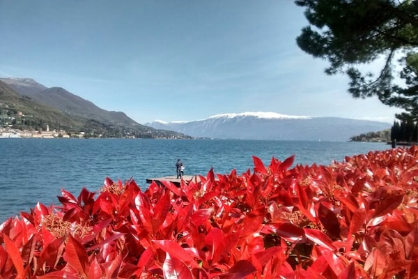 Foto van Appartement voor 4 personen - Vakantiehuis in Moniga del Garda - Untagged