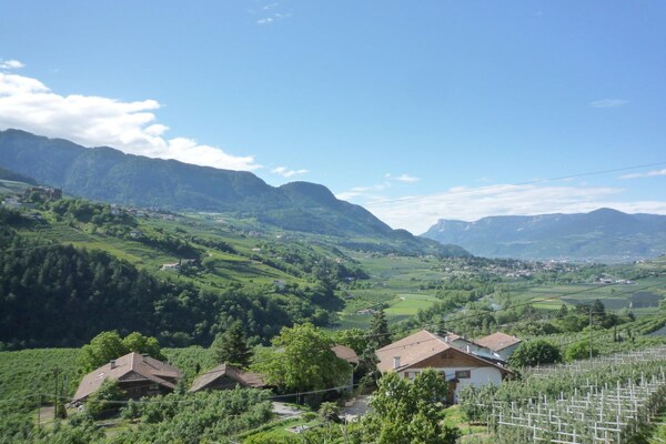Foto van Araucaria bij Residence Braiter - Vakantiehuis in Kuens bei Meran - Untagged