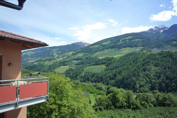 Foto van Araucaria bij Residence Braiter - Vakantiehuis in Kuens bei Meran - Untagged