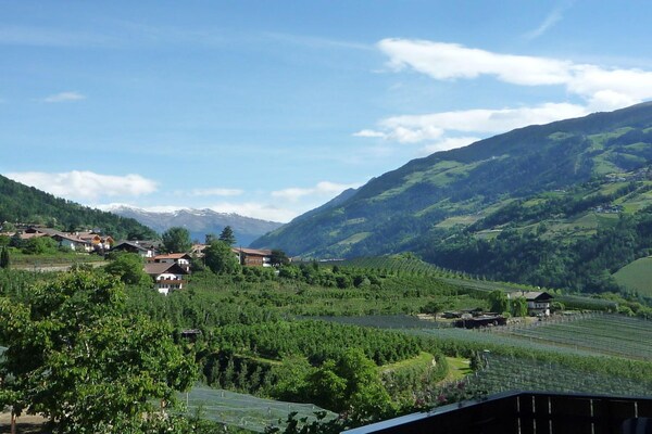 Foto van Araucaria bij Residence Braiter - Vakantiehuis in Kuens bei Meran - Untagged
