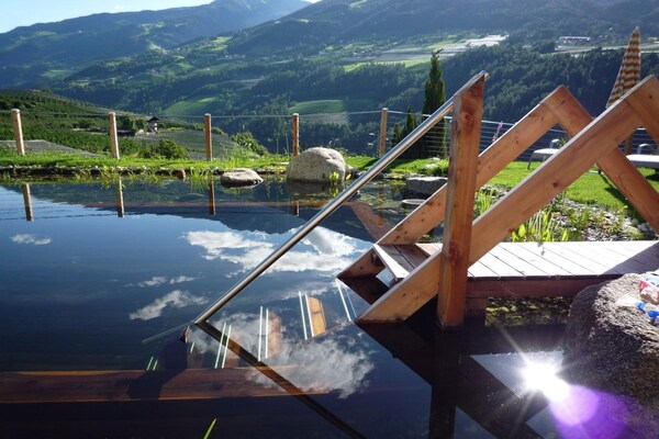 Foto van Araucaria bij Residence Braiter - Vakantiehuis in Kuens bei Meran - Untagged