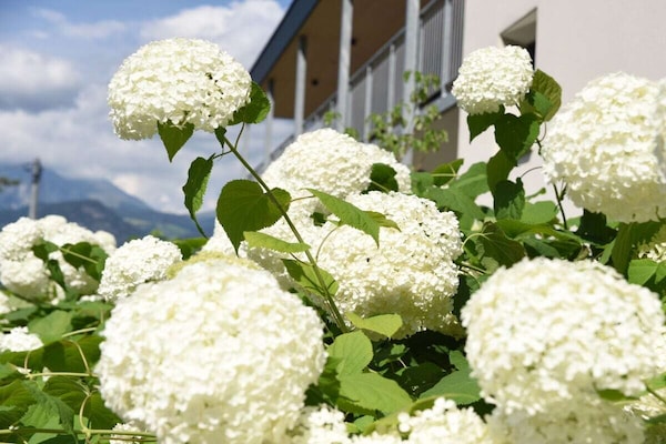 Foto van Appartement VIOLA - Vakantiehuis in Völlan - Untagged