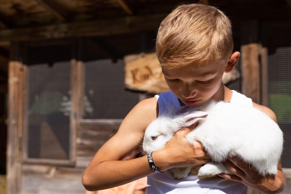 Foto van Berg op de boerderij - Vakantiehuis in Gsies - Ambiance