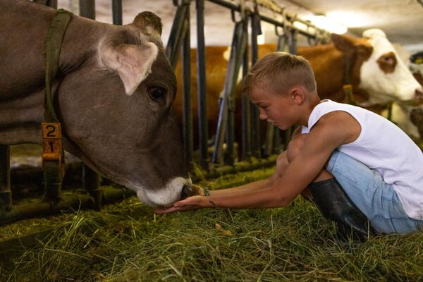 Foto van Berg op de boerderij - Vakantiehuis in Gsies - Ambiance