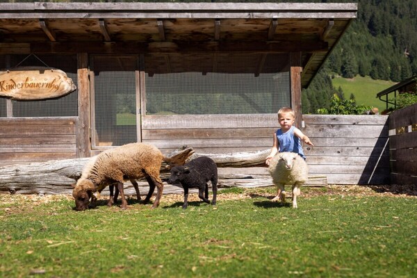 Foto van Berg op de boerderij - Vakantiehuis in Gsies - GardenSummer