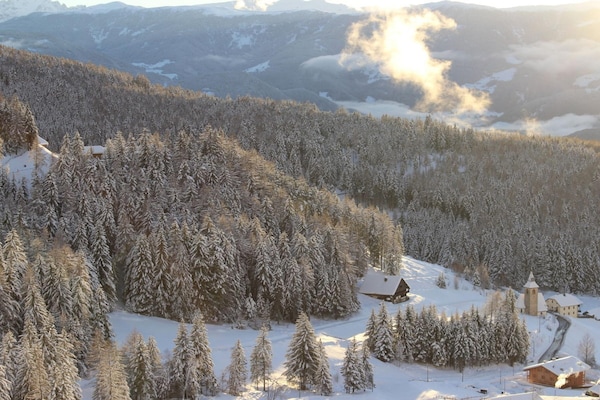 Foto van Berglodge Oberplantal - Vakantiehuis in Tesselberg - AreaWinter5KM