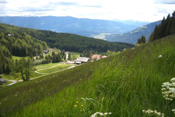 Foto van Berglodge Oberplantal - Vakantiehuis in Tesselberg - ViewSummer