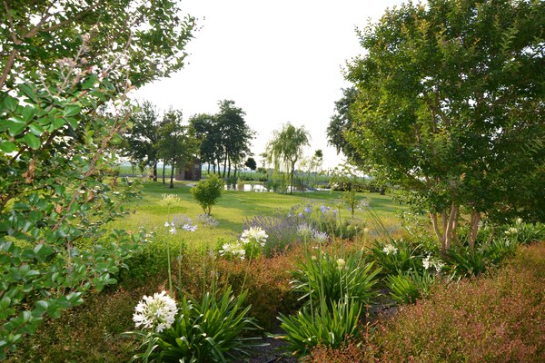 Foto van Huisdiervriendelijk uitje met zwembad - Vakantiehuis in Codigoro - GardenSummer