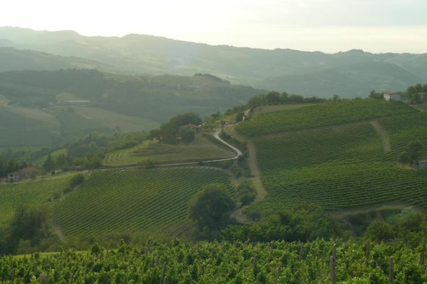 Foto van Hart van Emilia-Romagna Appartement - Vakantiehuis in Modigliana - AreaSummer5KM