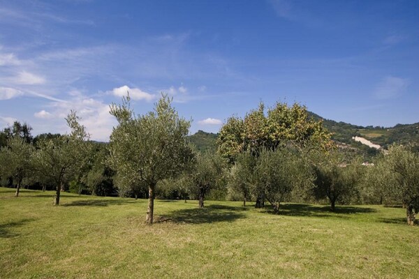 Foto van Ruim huis met zwembad - Vakantiehuis in Brisighella - GardenSummer
