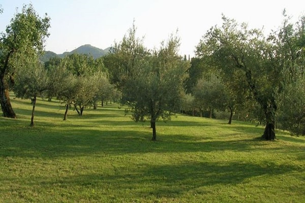 Foto van Ruim huis met zwembad - Vakantiehuis in Brisighella - GardenSummer
