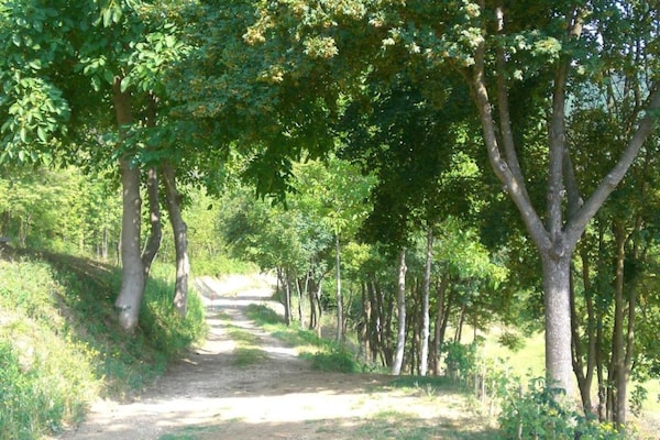 Foto van Ruim huis met zwembad - Vakantiehuis in Brisighella - AreaSummer20KM