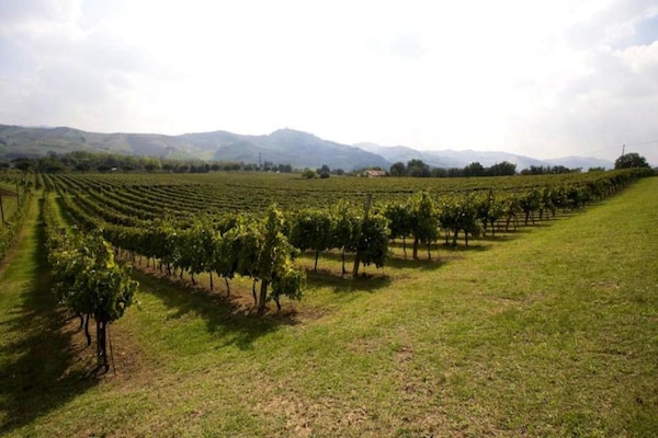 Foto van Ruim huis met zwembad - Vakantiehuis in Brisighella - AreaSummer20KM