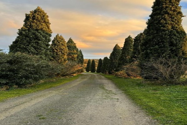 Foto van Charmante Toscaanse retraite - Vakantiehuis in Gambassi Terme (FI) - AreaSummer20KM