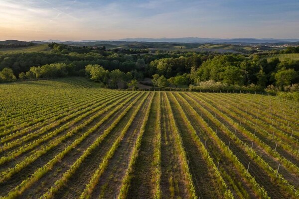 Foto van Charmante Toscaanse retraite - Vakantiehuis in Gambassi Terme (FI) - AreaSummer20KM