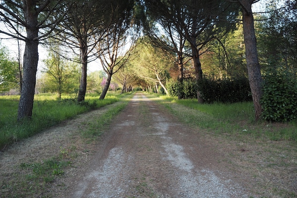 Foto van Stacaravan met eigen veranda in Toscane - Vakantiehuis in Capannole - AreaSummer1KM