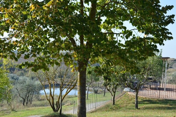 Foto van Toscaanse retraite in Montalceto - Vakantiehuis in Asciano (SI) - AreaSummer1KM