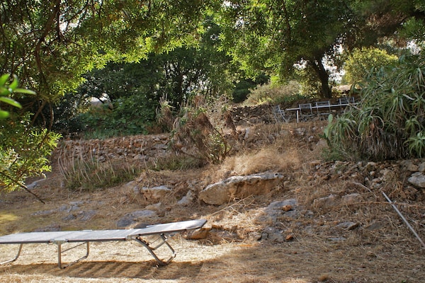 Foto van Casa Furrer Terranera - Vakantiehuis in Porto Azzurro - Untagged