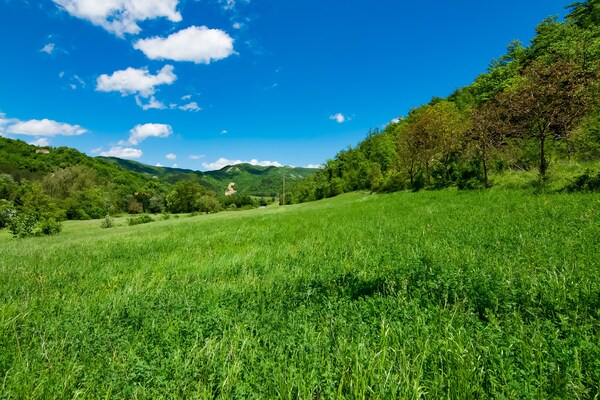 Foto van Villa in Borgo Pace met Privézwembad - Vakantiehuis in Borgo Pace (PU) - AreaSummer5KM