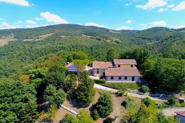 Foto van Cottage in Marche met zwembad en boszicht - Vakantiehuis in Apecchio - ExteriorSummer