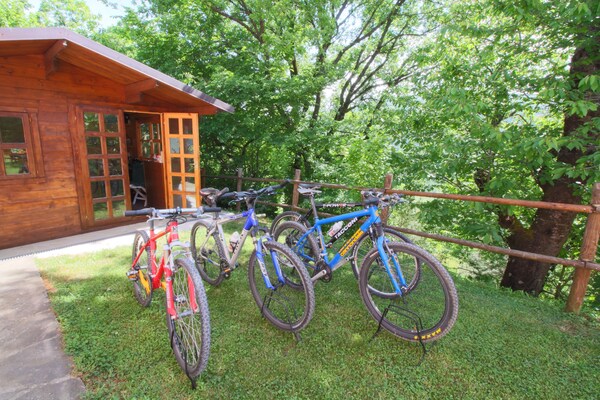 Foto van Cottage in Marche met zwembad en boszicht - Vakantiehuis in Apecchio - Facilities