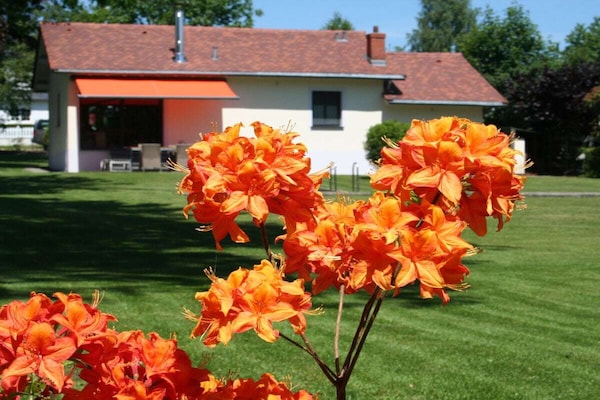 Foto van Vakantiehuis in  - Vakantiehuis in  - Untagged