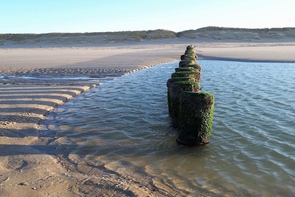 Foto van Vakantiehuis op Ameland bij Golfbaan - Vakantiehuis in Hollum - AreaSummer1KM