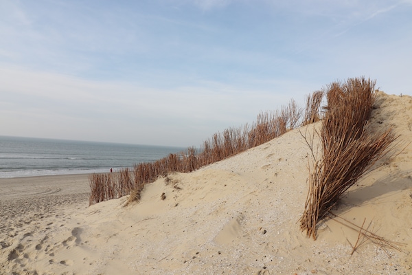 Foto van Vakantiehuis op Ameland bij Golfbaan - Vakantiehuis in Hollum - AreaSummer1KM